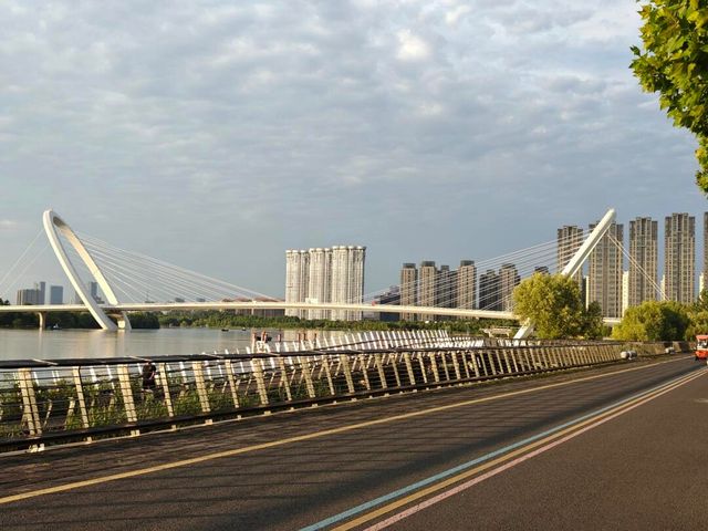 南京魚嘴濕地公園。