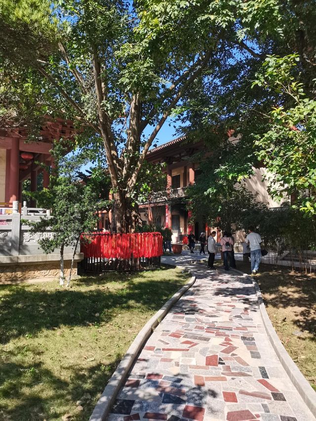廣西貴港丨擁有美麗山水的小眾城市！。