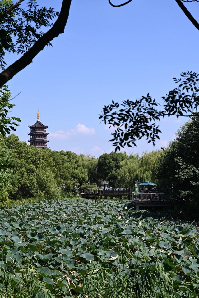 泰州。