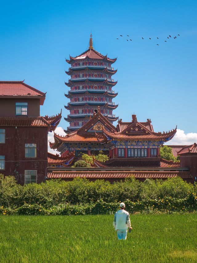 不是北京故宮！就在蘇州陽澄湖畔……。