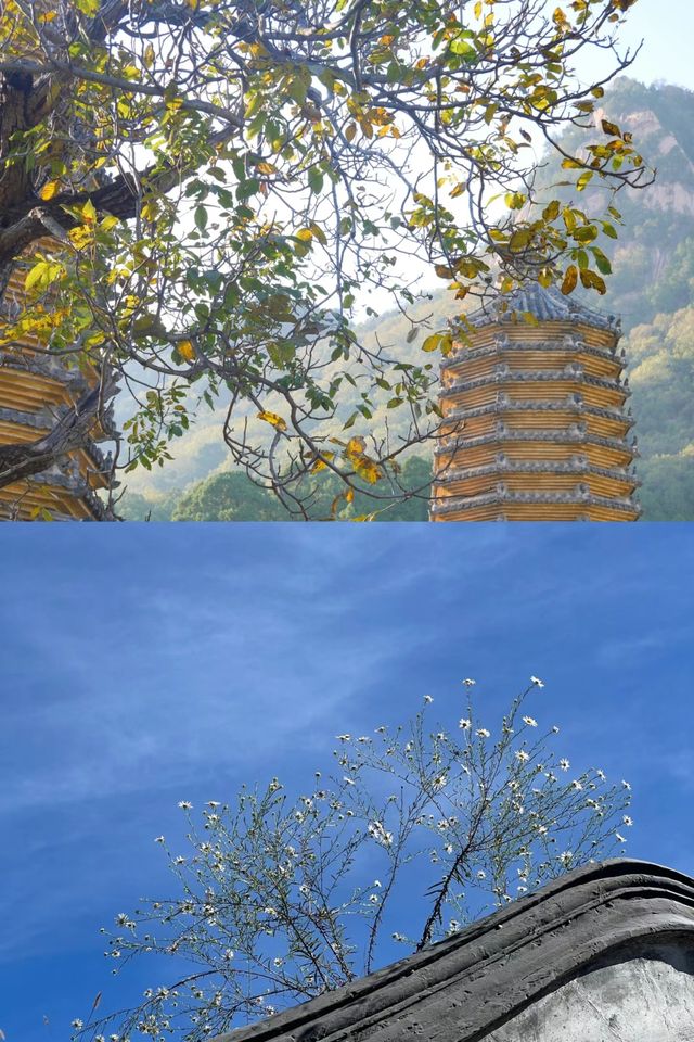 北京．銀山塔林。