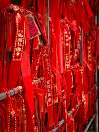 河南商丘｜古今交錯 一城盡覽五千年。