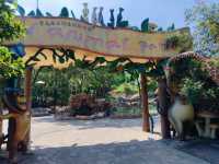 青島森林野生動物園超全攻略。