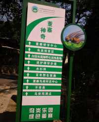 董寨國家級自然保護區：鳥類天堂。