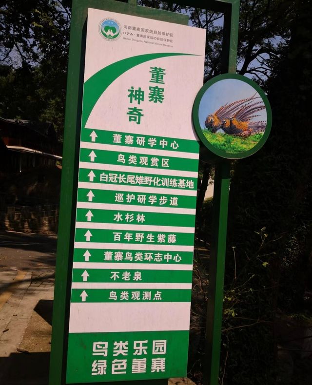 董寨國家級自然保護區：鳥類天堂。