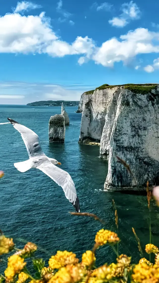 Discover the end of the world in this small British town.