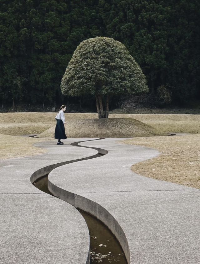 奈良山谷中的藝術森林。