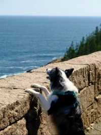 Day tour of Acadia National park 🇺🇸