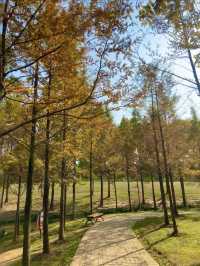 武漢周末好去處！公園郊遊！。