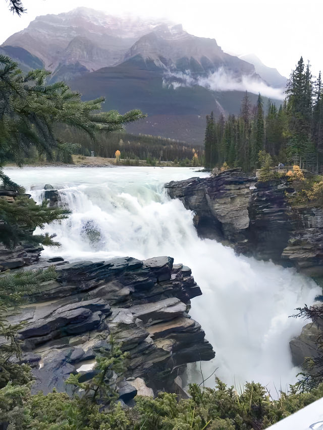 加拿大自然奇觀：Jasper National Park探秘指南