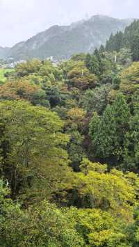 溪水、山谷間露天溫泉-加賀溫泉 花つばき。
