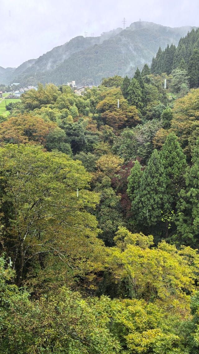 溪水、山谷間露天溫泉-加賀溫泉 花つばき。