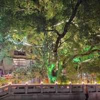101Guide: Xingping Ancient Town 兴平古镇 the RMB20 Place