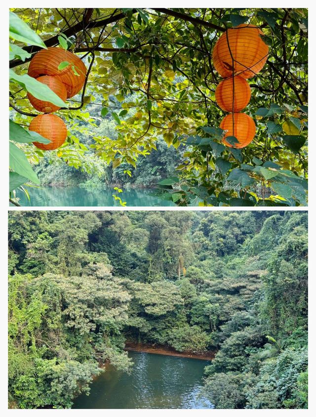 《國家地理》沒有騙我，蝴蝶谷景區被嚴重低估。