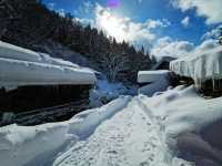 Experience the Enchanting Snowy Wonderland of Japan