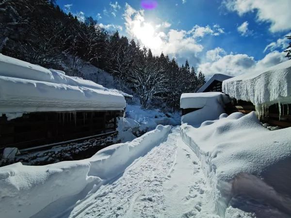 Experience the Enchanting Snowy Wonderland of Japan
