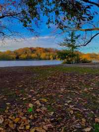 Autumn in NYC is Stunning
