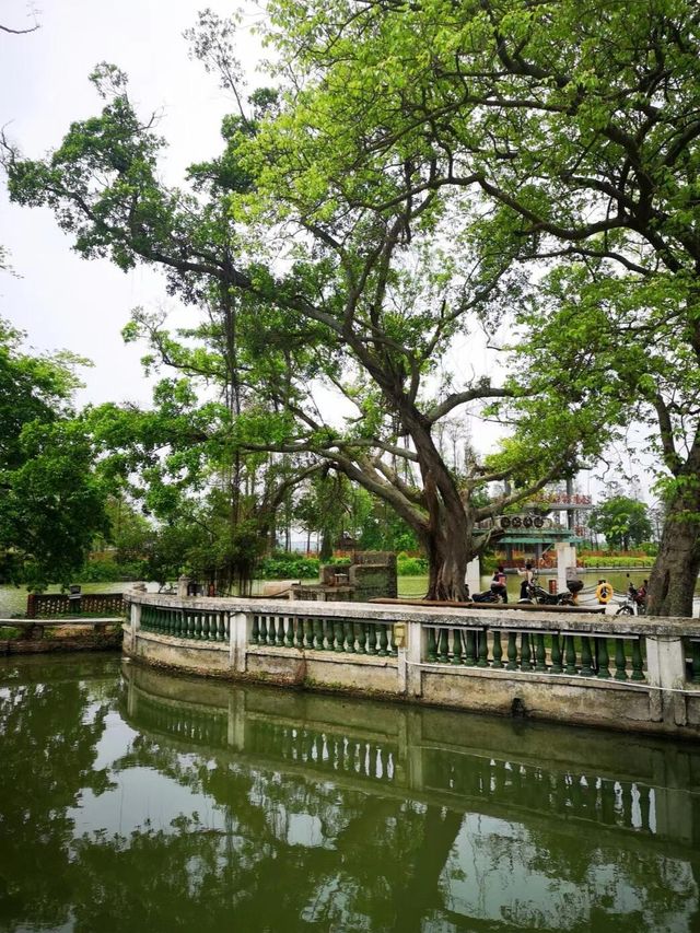 江門台山草坪里：超驚艷的寶藏旅遊地，不來後悔一輩子。