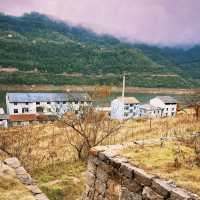 石柱旅遊｜來山與湖•湖心營探索自然之美，享受悠閒時光