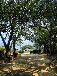 茂名放雞島旅遊攻略探索海洋秘境的兩天一夜之旅。