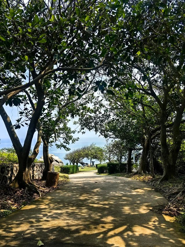 茂名放雞島旅遊攻略探索海洋秘境的兩天一夜之旅。