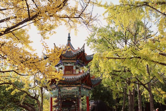 昆明翠湖公園。