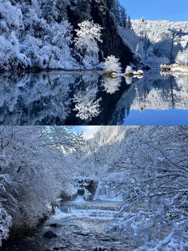 四姑娘山的冬天——滿眼星河皆是你。