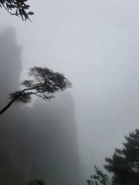 江西三清山｜三清盛景，峰奇雲繞韻無窮