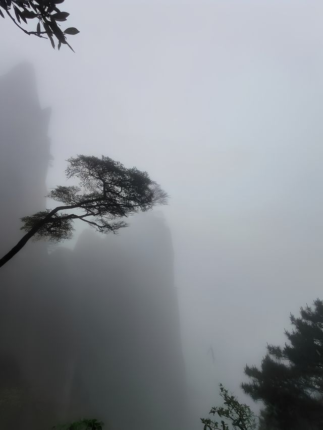 江西三清山｜三清盛景，峰奇雲繞韻無窮
