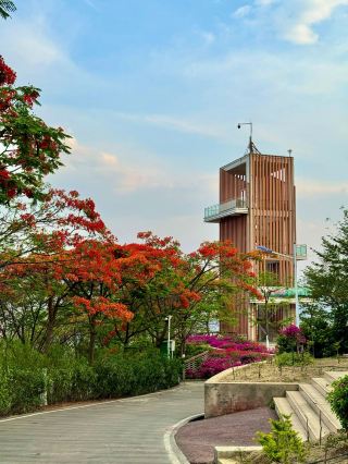 4 Days in Panzhihua: Don't Miss the Winter Scenery