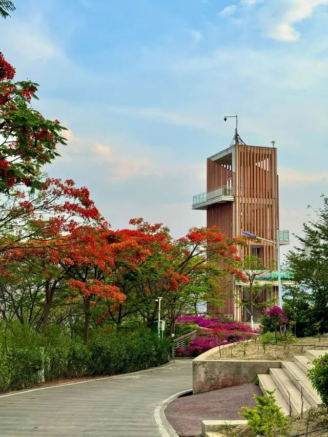 4 Days in Panzhihua: Don't Miss the Winter Scenery