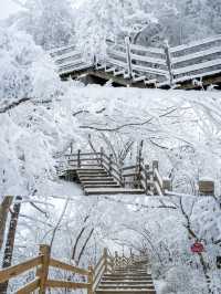 誰懂雪後的光霧山韓劇氛圍感直接拉滿～