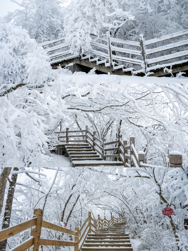 誰懂雪後的光霧山韓劇氛圍感直接拉滿～