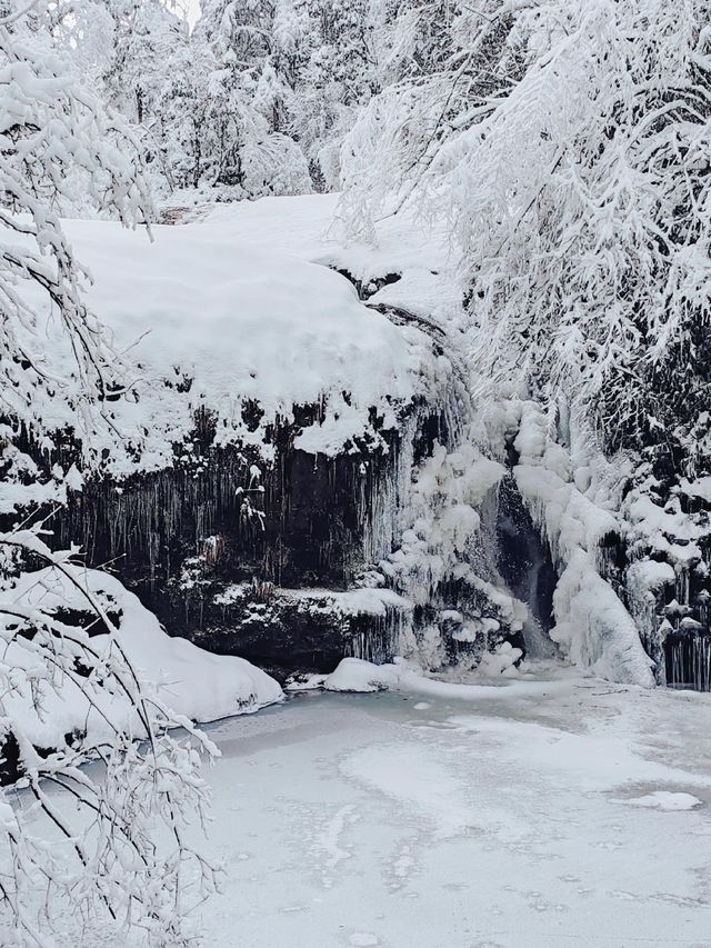 龍蒼溝雪景