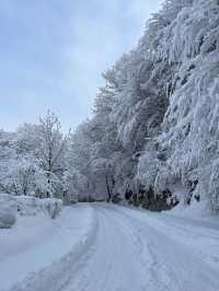 西安秦嶺｜最美不過的第一場雪景