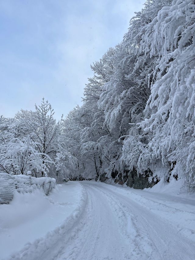 西安秦嶺｜最美不過的第一場雪景