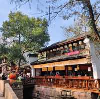 冬日不一樣的西溪湿地公園