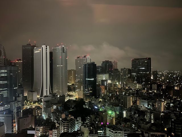 新宿酒吧夜生活酒店