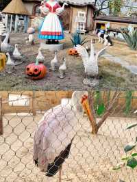 歐樂堡動物園攻略新手必看！