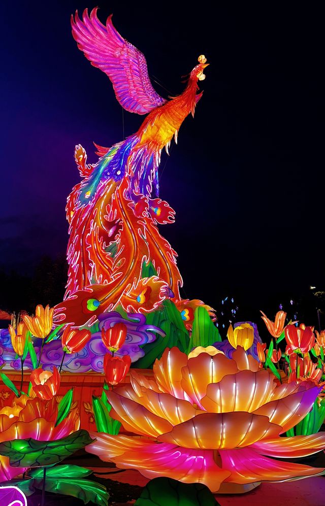 打卡－北京京彩燈會