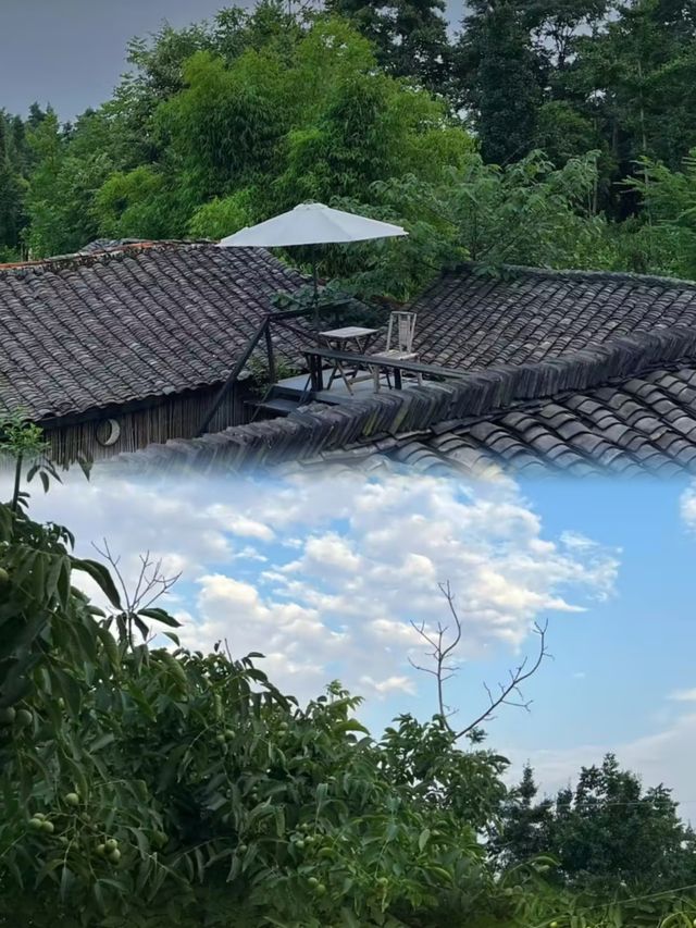 藏在喧囂中的靜謐角落！