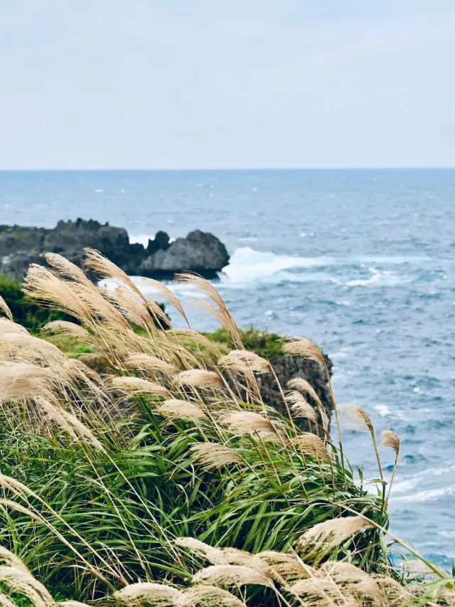 Winter break in Japan: Snowy hot springs are super healing