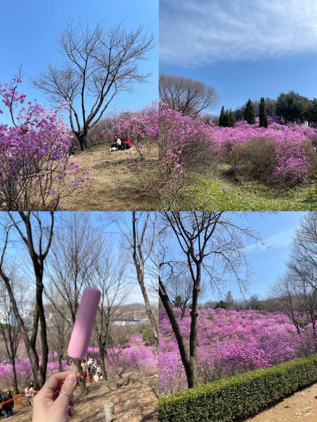 利川市：韓式風情的詩意棲居地