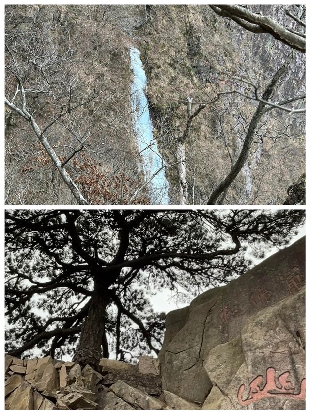 萬佛山優美的自然風光來欣賞吧