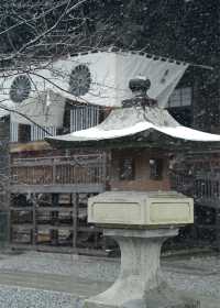 樂在大雪紛飛—日本長野