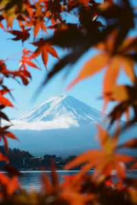 富士山下紅葉季