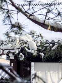 住進財閥百年府邸！京都三井，冬日私湯度假