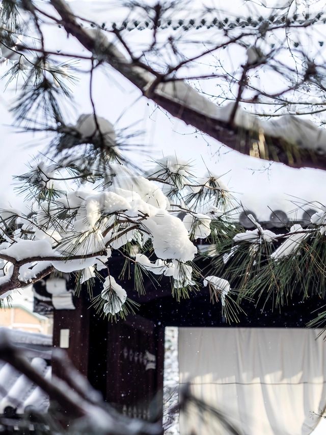 住進財閥百年府邸！京都三井，冬日私湯度假