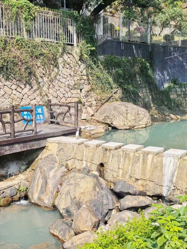 長樂六平山：一步一景，解鎖秋日限定詩意！
