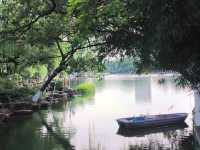 寧波月湖公園 | 宛如仙境的城市綠洲